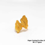 Paper Casting Pro Max LRP
