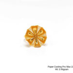 Paper Casting Pro Max LRP