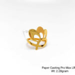 Paper Casting Pro Max LRP