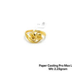Paper Casting Pro Max LRP