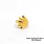 Paper Casting Pro Max LRP